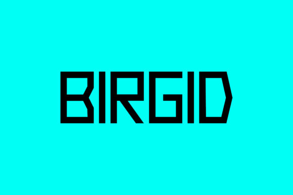 Birgid: A Bold Display Font for Modern Editorial Design