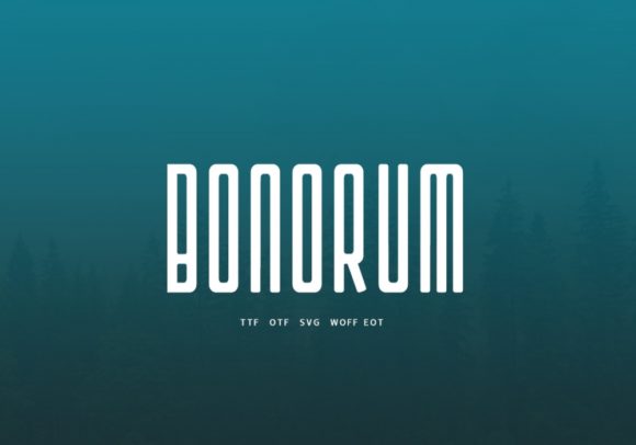 Bonorum: The Display Font That Elevates Campaign Visuals with Minimalist Clarity